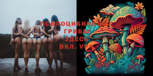 каннабис Алексин